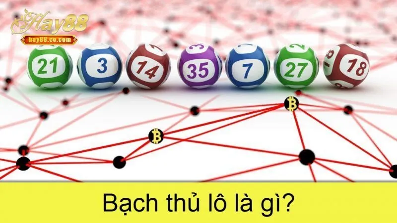 Bạch thủ lô là gì?