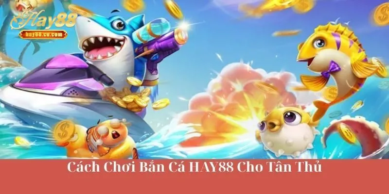 Cách Chơi Bắn Cá HAY88 Cho Newbie