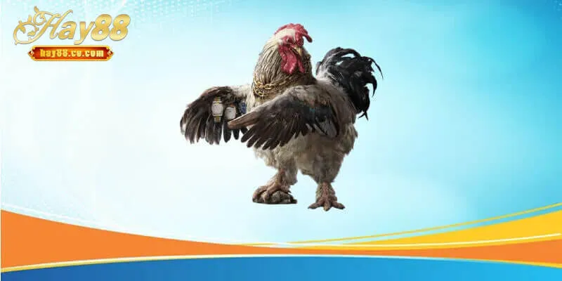 Cách cược trong trò chơi đá gà Hay88