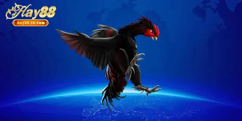 Khám Phá Những Lợi Ích Vượt Trội Khi Chơi Đá Gà Hay88