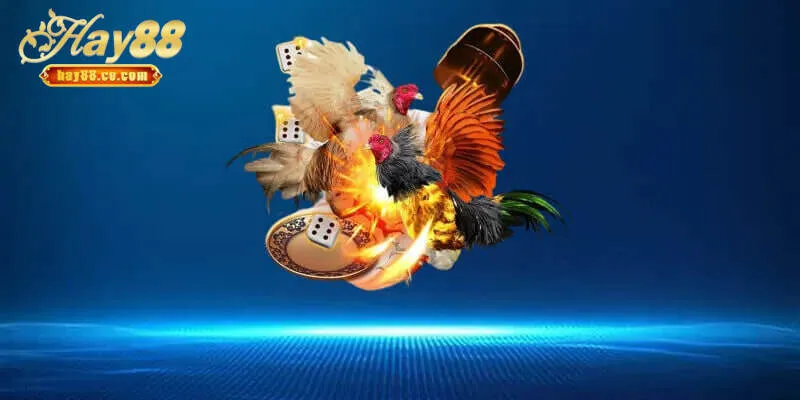 Lịch sử và nguồn gốc của đá gà Hay88