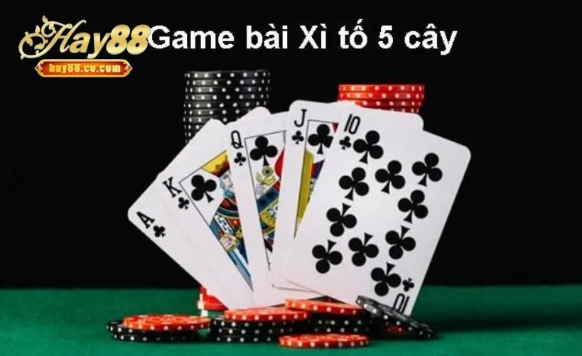 Các thuật ngữ thường gặp trong xì tố Hay88